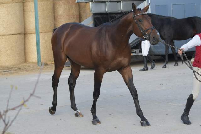 DSC_1170
